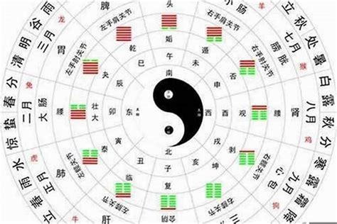 五行金偏旺|八字五行金旺代表什么 (八字金过旺是什么意思)